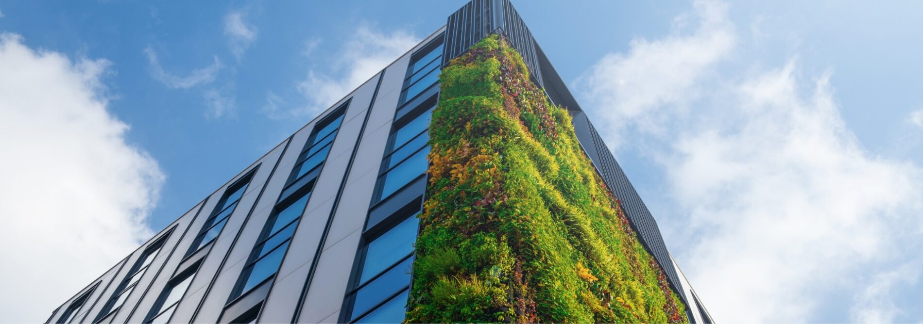 Construction durable avec mur végétalisé - Briand Group
