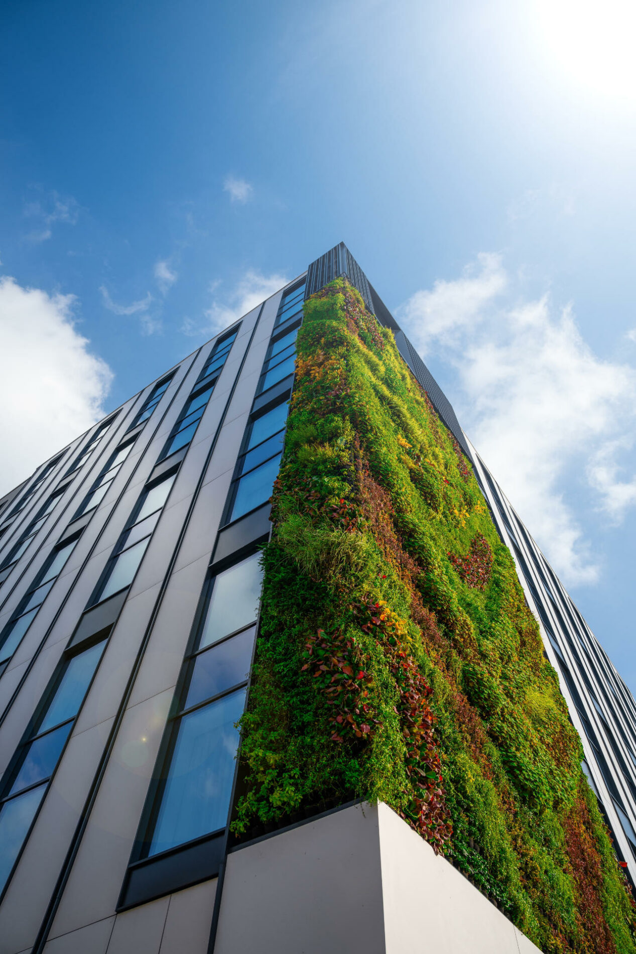 Construction durable avec mur végétalisé - Briand Group